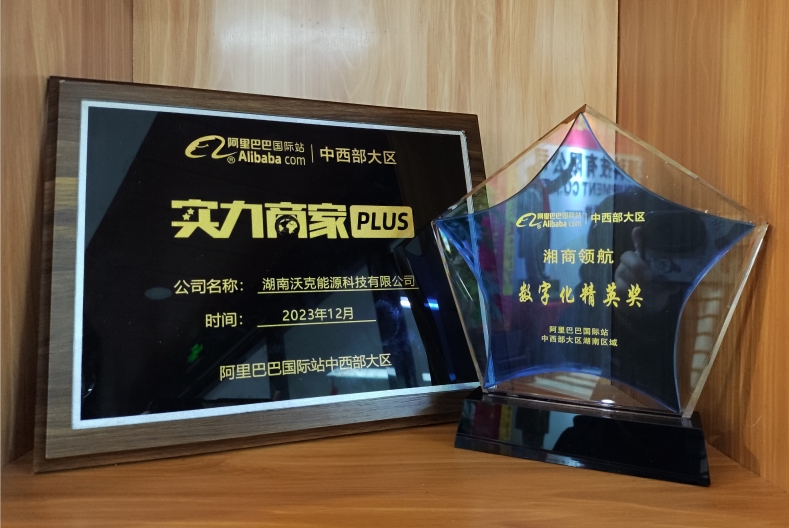 乘風破浪,逆勢出海|沃克能源獲阿里巴巴中西部大區(qū)數字化精英獎！