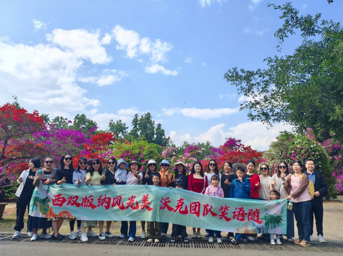沃克能源西雙版納團建.png